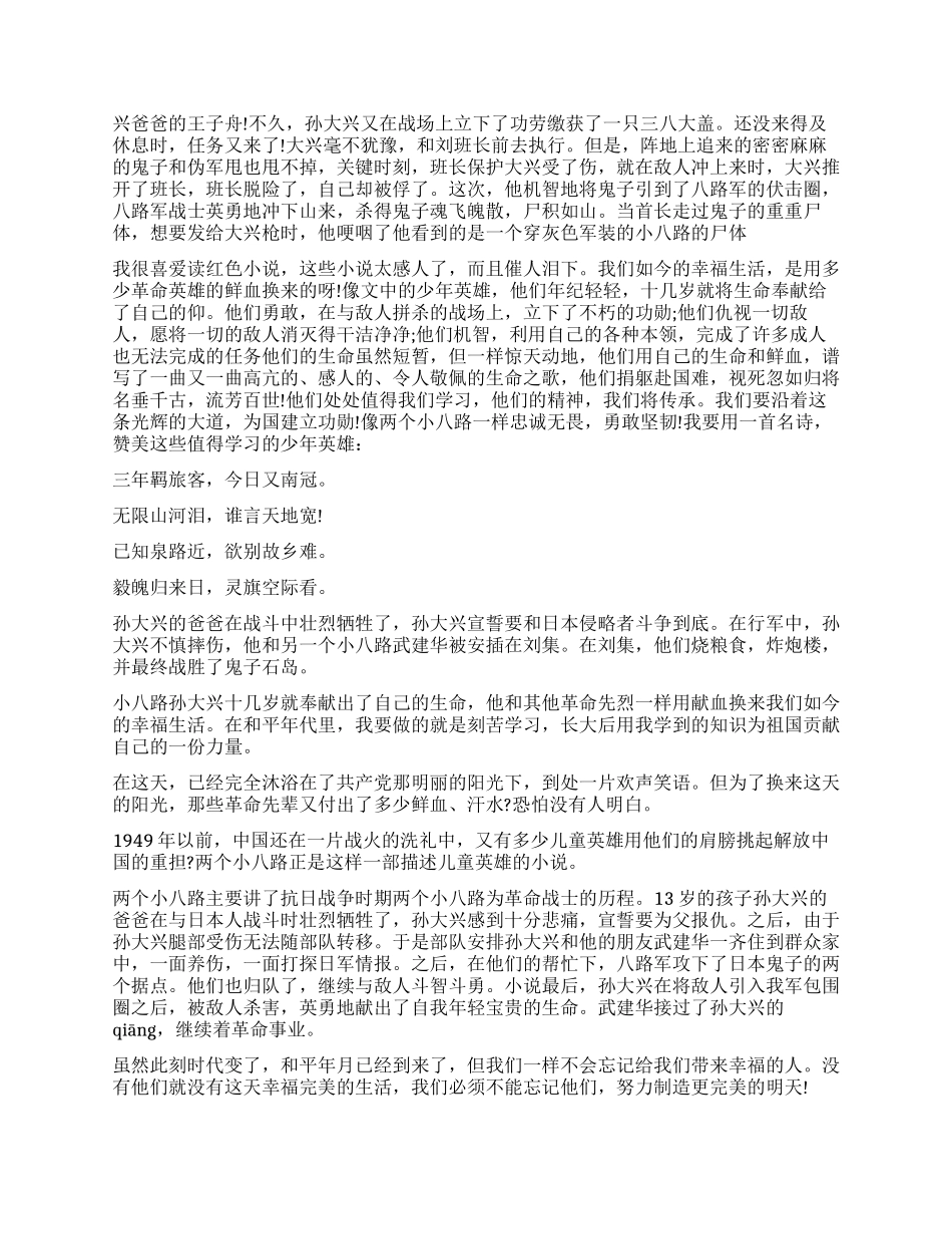 两个小八路读后感作文5篇_第2页