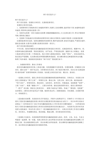 两个责任是什么