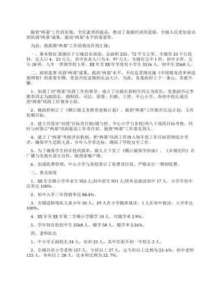 两基工作复查自查报告