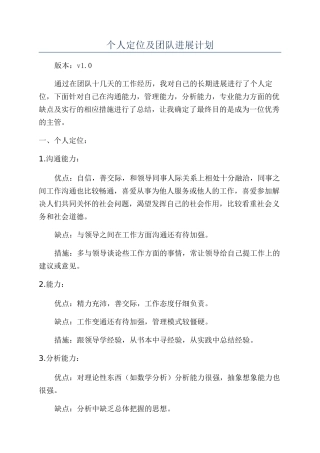 个人定位及团队发展计划