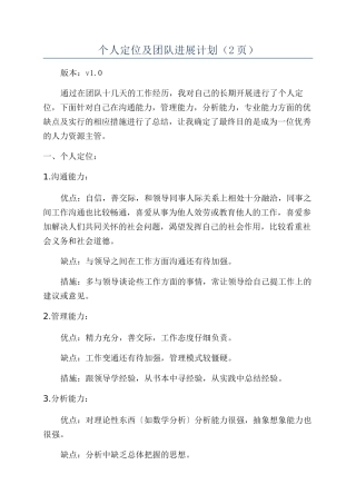 个人定位及团队发展计划（2页）