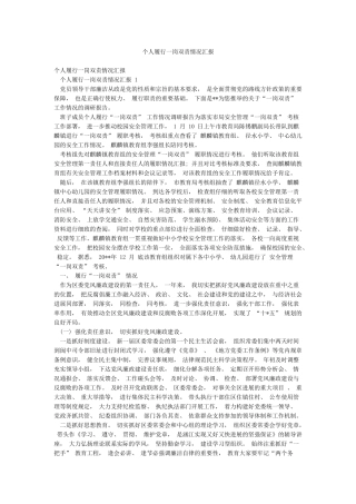 个人履行一岗双责情况汇报