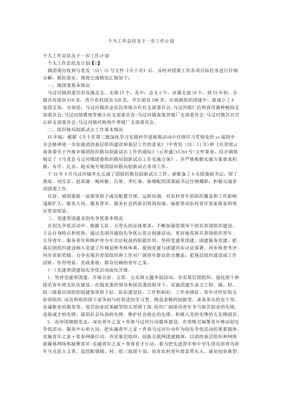 个人工作总结及下一步工作计划_第1页
