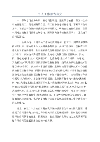 个人工作报告范文