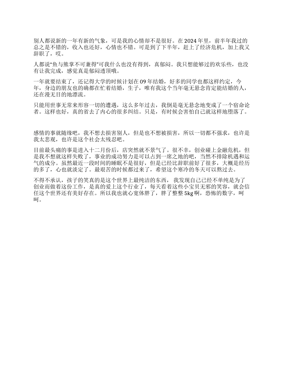 个体老板年终总结_第1页