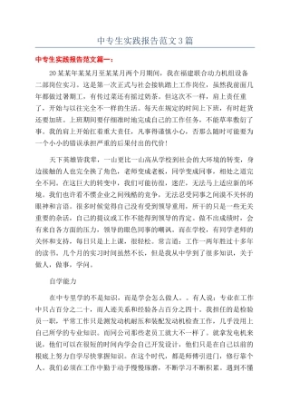 中专生实践报告范文3篇