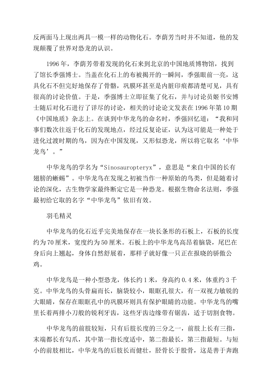中华龙鸟-精品文档_第2页