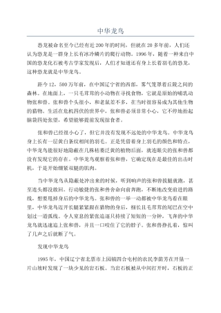 中华龙鸟-精品文档