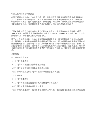 中国互联网络热点调查报告