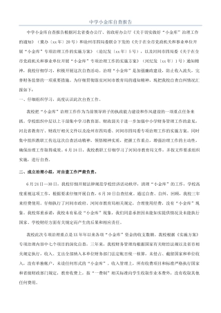 中学小金库自查报告