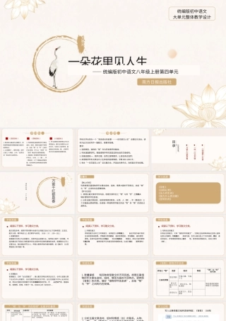 统编版初中语文八年级上册第四单元：一朵花里见人生散文阅读