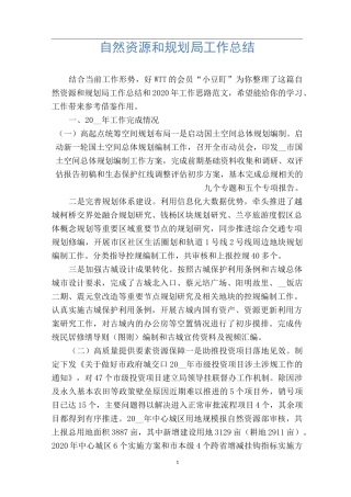 自然资源和规划局工作总结