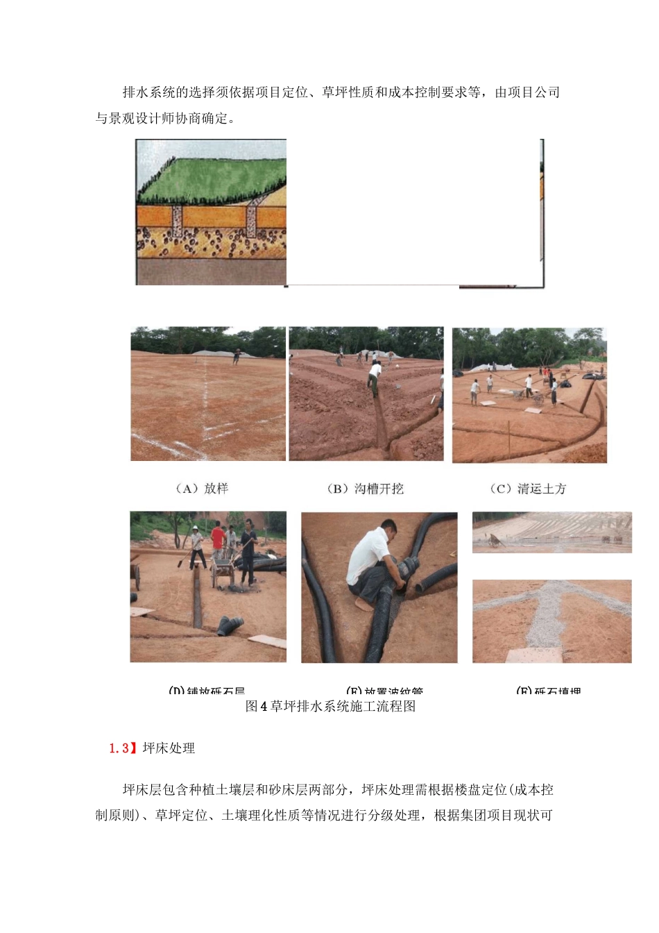草坪建植工艺工法_第3页