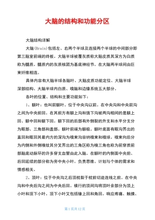 大脑的结构和功能分区