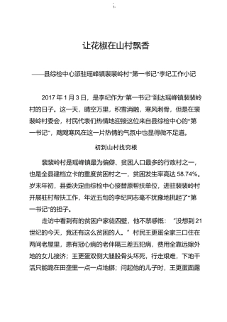 驻村第一书记先进事迹