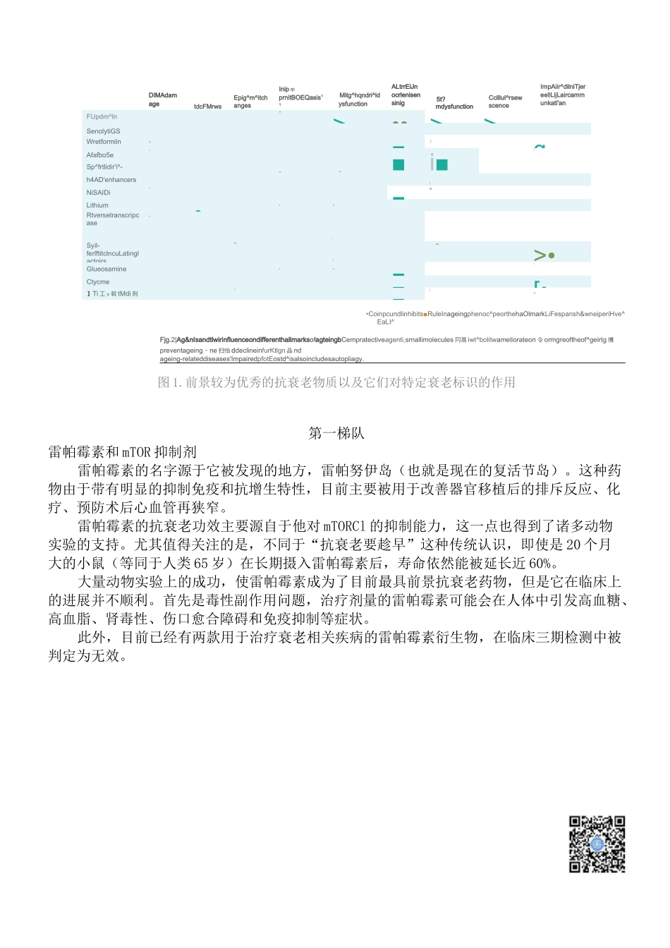 《Nature》深度综述：最具前景的抗衰老物质盘点_第2页