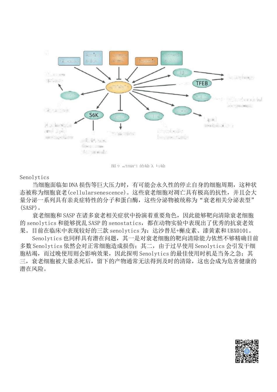 《Nature》深度综述：最具前景的抗衰老物质盘点_第3页