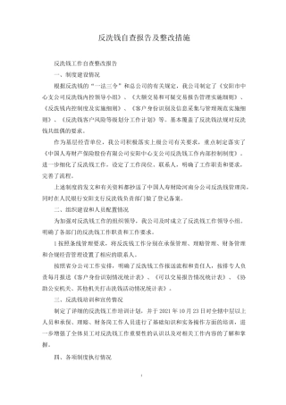 反洗钱自查报告及整改措施