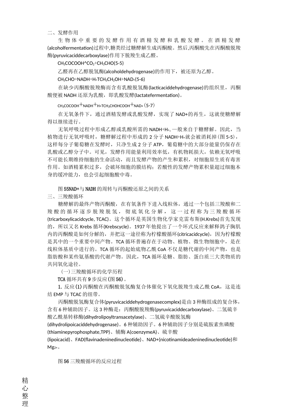 糖酵解 三羧酸循环最全总结_第2页