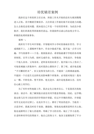 培优辅差案例