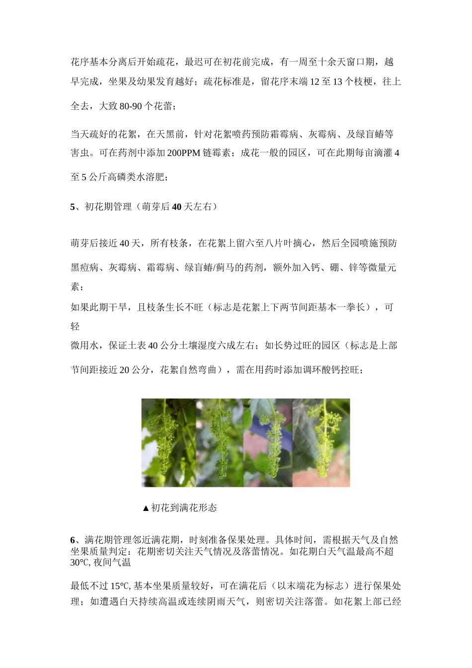 阳光玫瑰的12个关键管理细节_第3页