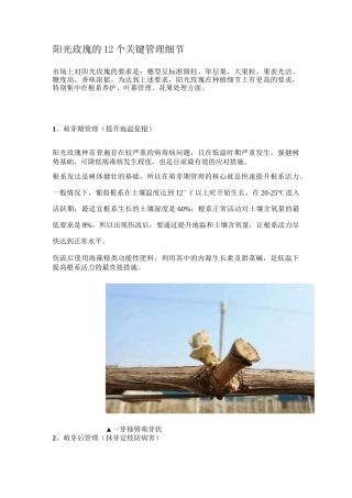 阳光玫瑰的12个关键管理细节