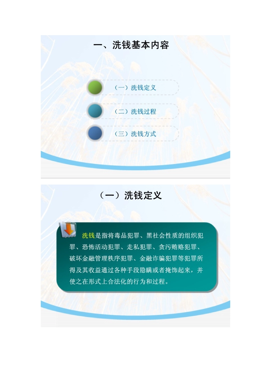 我国反洗钱法律制度与案例分析课件_第2页