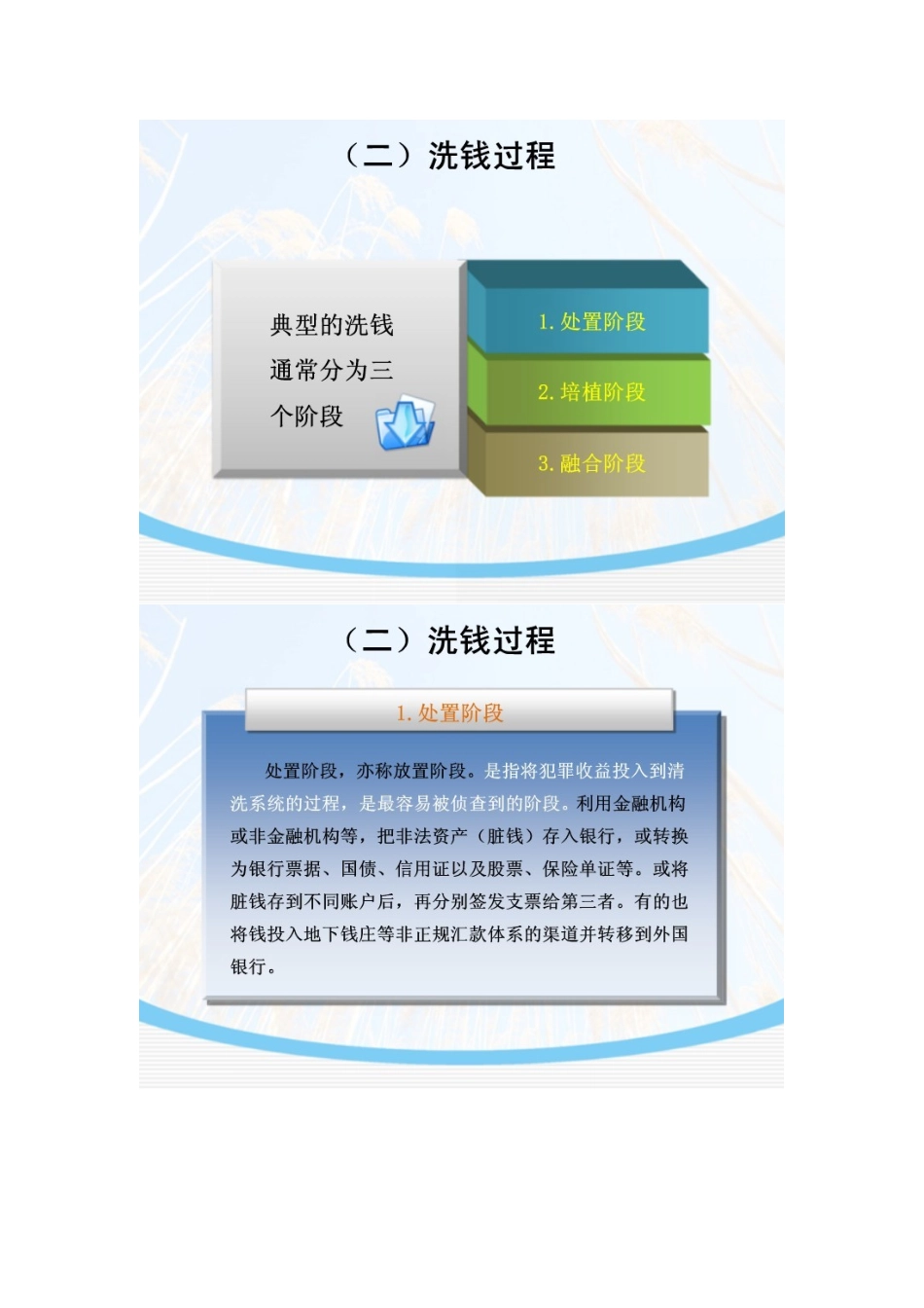 我国反洗钱法律制度与案例分析课件_第3页
