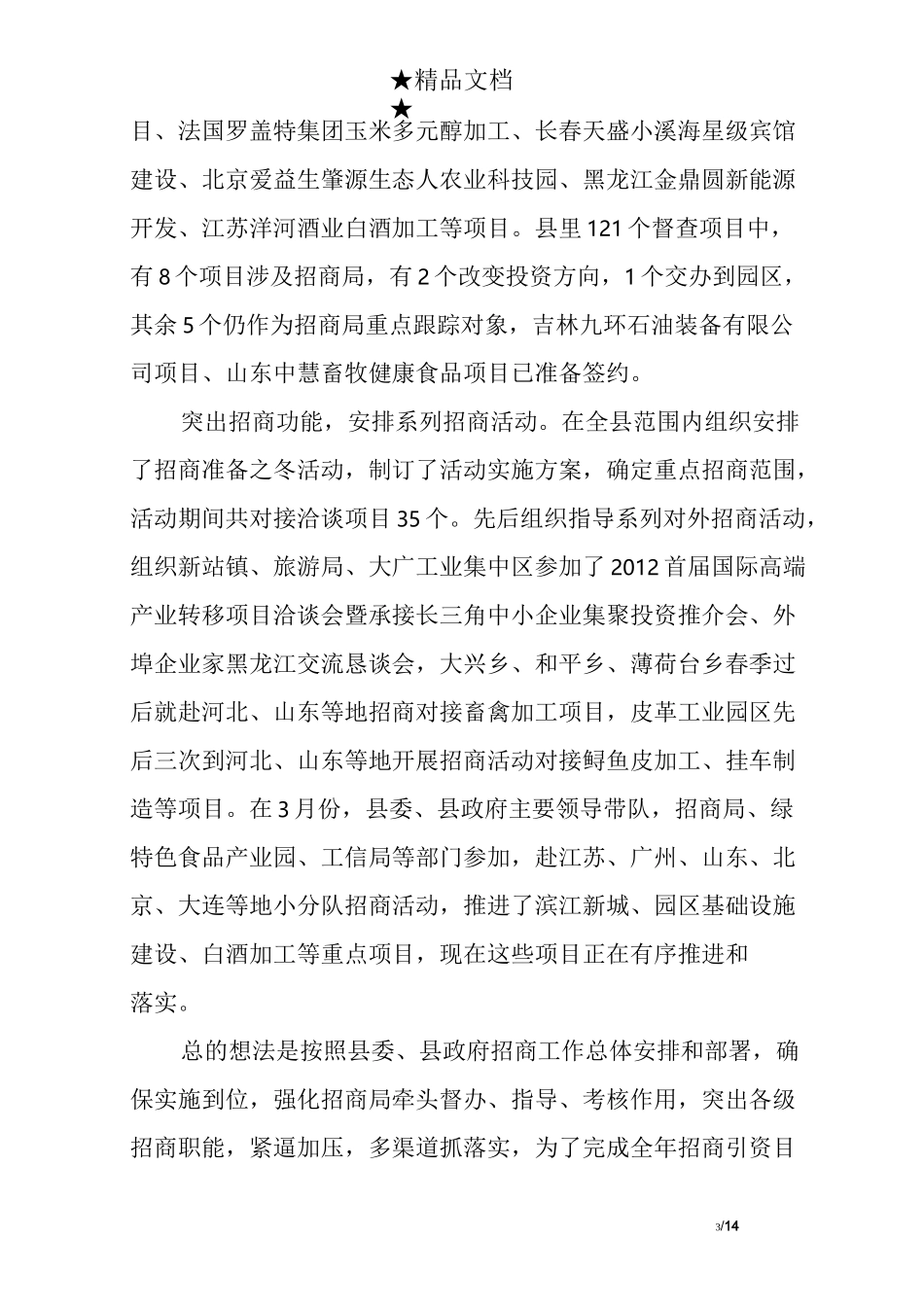 招商工作报告范文_第3页