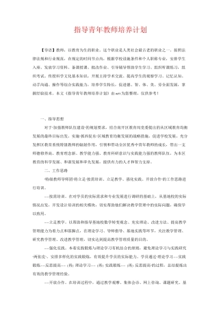 指导青年教师培养计划