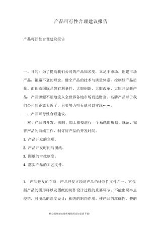 产品可行性合理建议报告