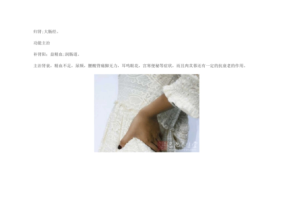肉苁蓉的用法用量及副作用_第2页