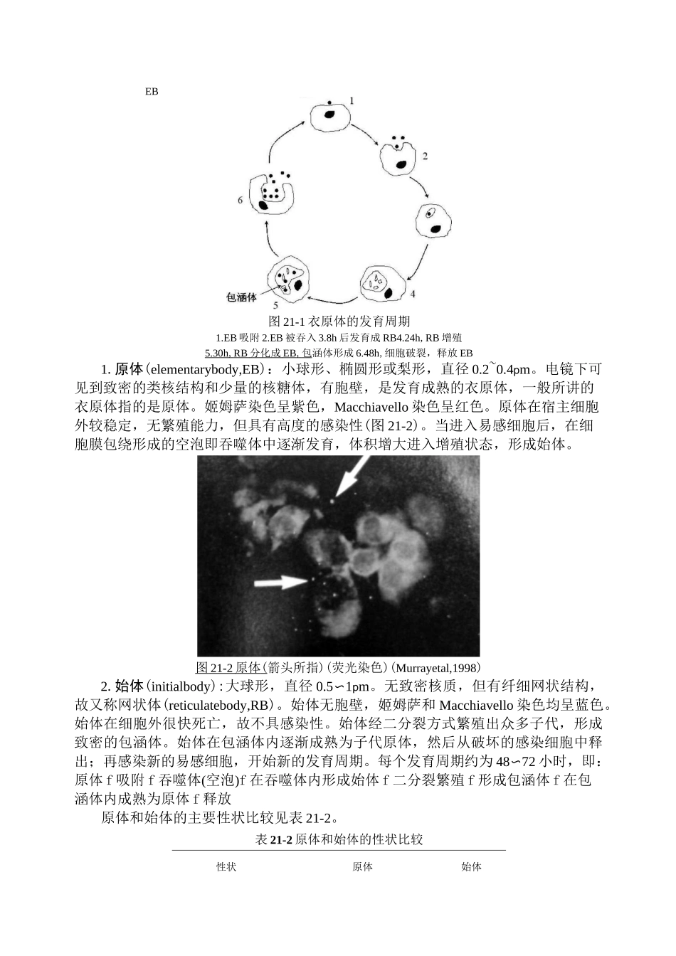 第21章衣原体_第2页