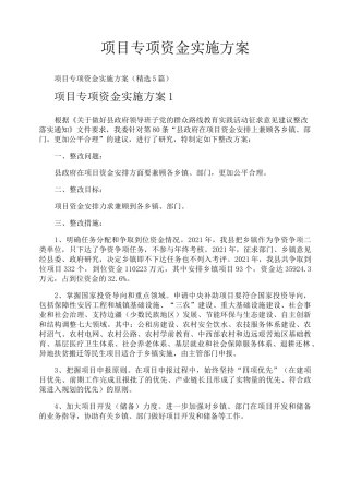 项目专项资金实施方案