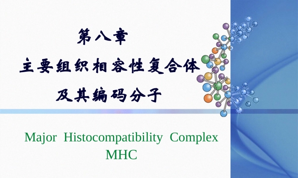 [免疫学]MHC主要组织相容性复合体及其编码分子 讲座课件