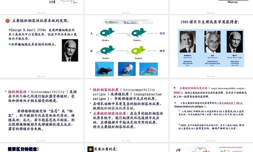 [免疫学]MHC主要组织相容性复合体及其编码分子 讲座课件