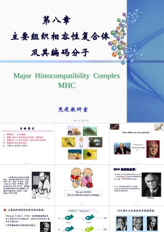 [免疫学]MHC主要组织相容性复合体及其编码分子 讲座课件