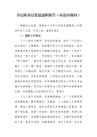 党组书记抓基层党建述职报告（市县区级局）