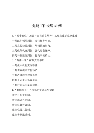 党建工作提纲30例