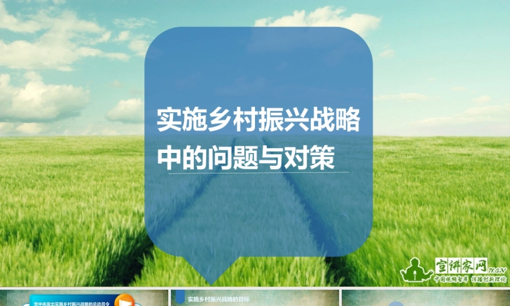 胡荣耀：实施乡村振兴战略中的问题与对策