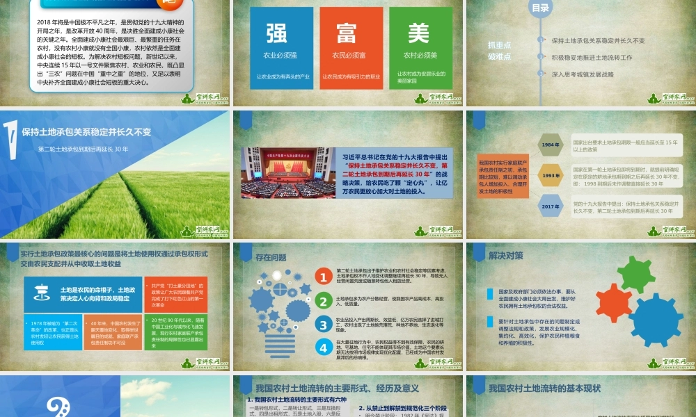 胡荣耀：实施乡村振兴战略中的问题与对策