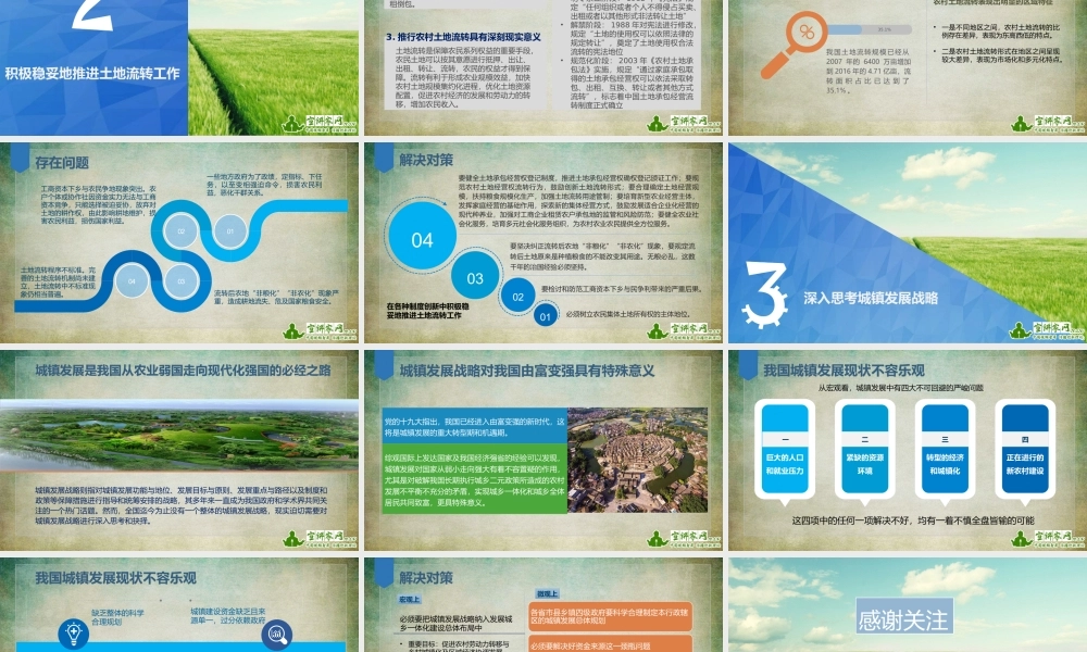 胡荣耀：实施乡村振兴战略中的问题与对策