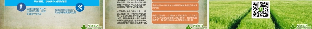 胡荣耀：实施乡村振兴战略中的问题与对策