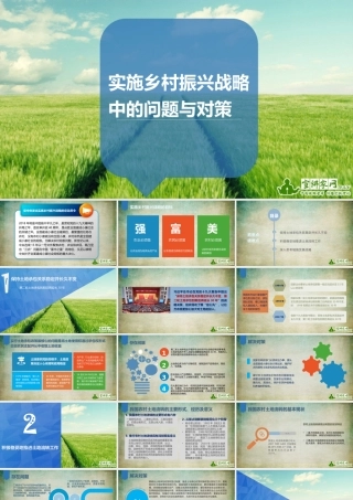 胡荣耀：实施乡村振兴战略中的问题与对策