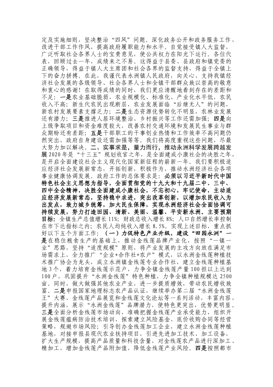 二零二零年乡镇政府工作_第3页