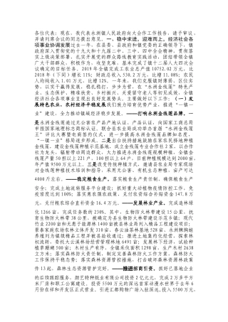 二零二零年乡镇政府工作