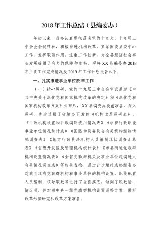 工作总结（县编委办）