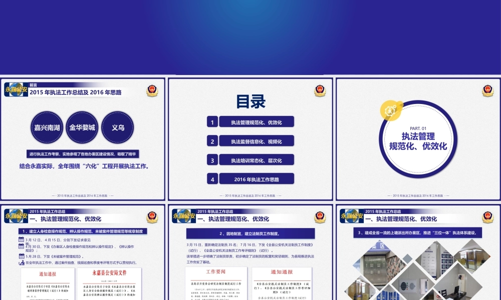 公安局执法工作年度汇报