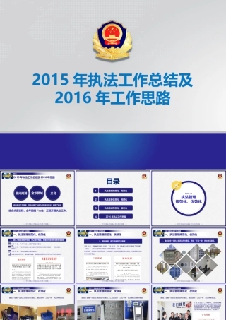公安局执法工作年度汇报