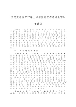 公司党总支2020年上半年党建工作总结及下半年计划